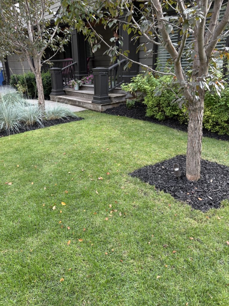Updated Front Yard